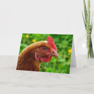 Rhode Island Red Hen Kaart