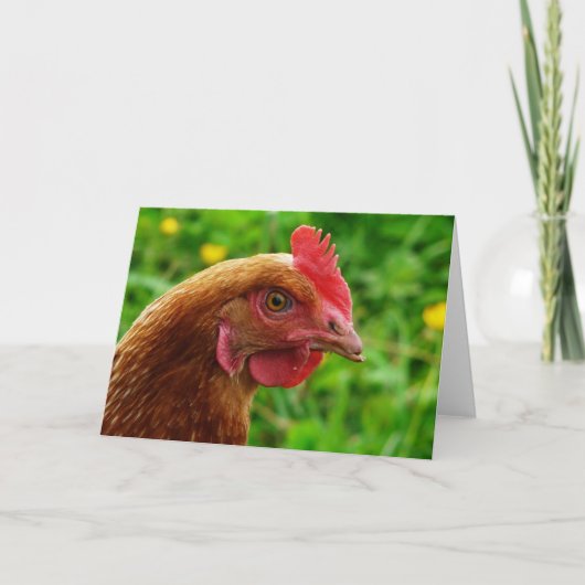 Rhode Island Red Hen Kaart (Voorkant)