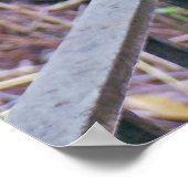 Rhode Island Red Hen Poster (Hoek)