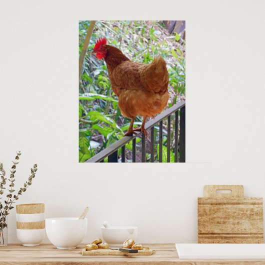Rhode Island Red Hen Poster (Keuken)