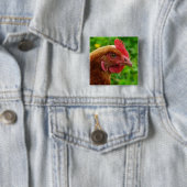 Rhode Island Red Hen Vierkante Button 5,1 Cm (In situ)