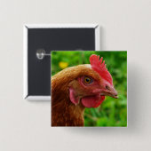 Rhode Island Red Hen Vierkante Button 5,1 Cm (Voorkant /achterkant)
