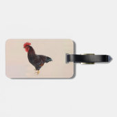Rhode Island Red Rooster Bagagelabel (Achterkant horizontaal)