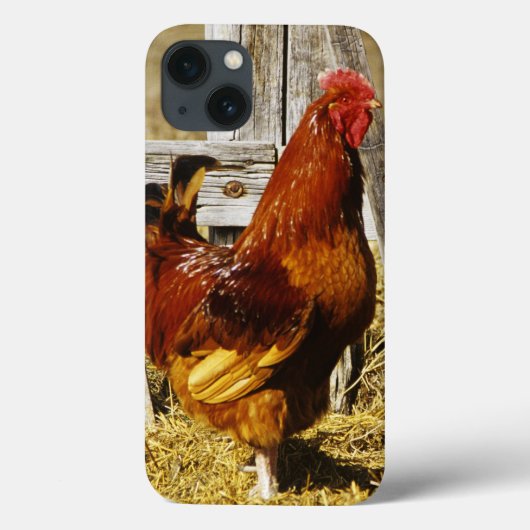 Rhode Island Red Rooster Case-Mate iPhone Case (Achterkant)