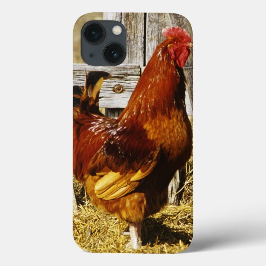 Rhode Island Red Rooster Case-Mate iPhone Case (Achterkant)