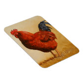 Rhode Island Red Rooster Chicken Magneet (Rechterzijde)