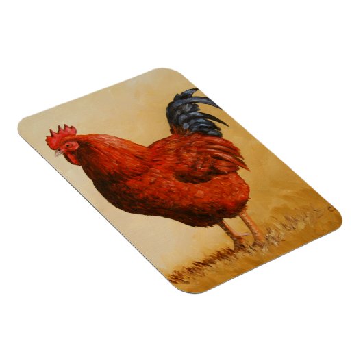 Rhode Island Red Rooster Chicken Magneet (Rechterzijde)