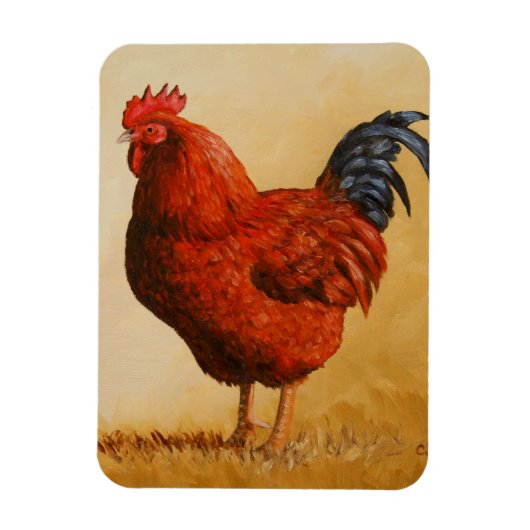 Rhode Island Red Rooster Chicken Magneet (Verticaal)