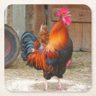 Rhode Island Red Rooster Crowing in Barnyard Kartonnen Onderzetters