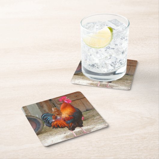 Rhode Island Red Rooster Crowing in Barnyard Kartonnen Onderzetters (Insitu)