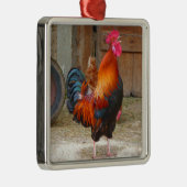 Rhode Island Red Rooster Crowing in Barnyard Metalen Ornament (Rechts)