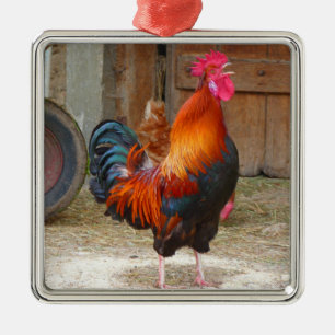 Rhode Island Red Rooster Crowing in Barnyard Metalen Ornament