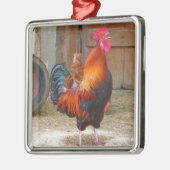 Rhode Island Red Rooster Crowing in Barnyard Metalen Ornament (Links)