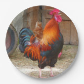 Rhode Island Red Rooster Crowing in Barnyard Papieren Bordje (Voorkant)