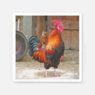 Rhode Island Red Rooster Crowing in Barnyard Servetten