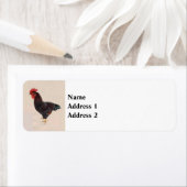 Rhode Island Red Rooster Etiket (Insitu)