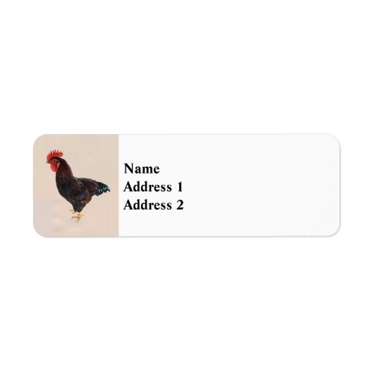 Rhode Island Red Rooster Etiket (Voorkant)