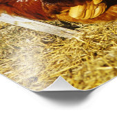 Rhode Island Red Rooster Foto Afdruk (Hoek)