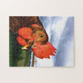 Rhode Island Red Rooster Legpuzzel (Horizontaal)