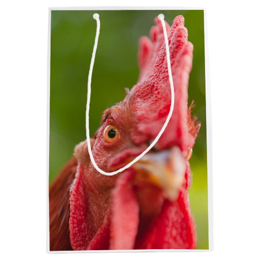 Rhode Island Red Rooster Medium Cadeauzakje (Voorkant)