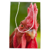 Rhode Island Red Rooster Medium Cadeauzakje (Achterkant)