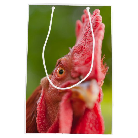 Rhode Island Red Rooster Medium Cadeauzakje (Achterkant)