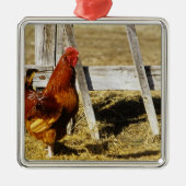 Rhode Island Red Rooster Metalen Ornament (Voorkant)