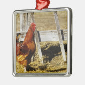 Rhode Island Red Rooster Metalen Ornament (Links)