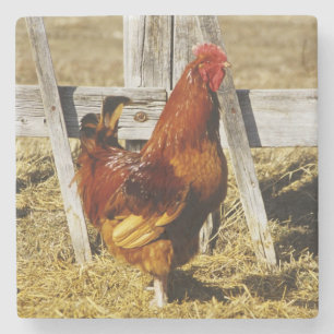 Rhode Island Red Rooster Stenen Onderzetter