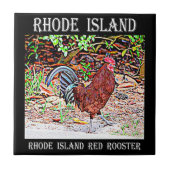 Rhode Island Red Rooster Tegeltje (Voorkant)