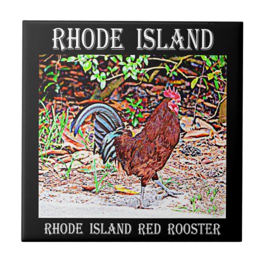 Rhode Island Red Rooster Tegeltje (Voorkant)