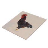Rhode Island Red Rooster Tegeltje (Zijkant)