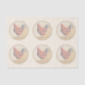 Rhode Island Red Rooster Yellow Background Tissuepapier (Voorkant)