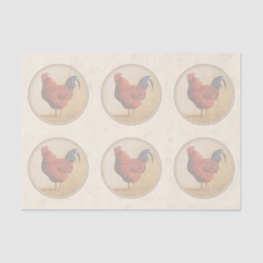 Rhode Island Red Rooster Yellow Background Tissuepapier (Voorkant)