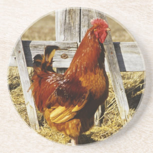Rhode Island Red Rooster Zandsteen Onderzetter