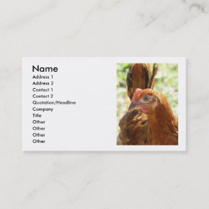 Rhode Island Red Visitekaartje