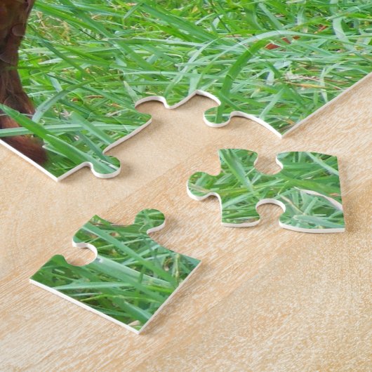 Rhode Island Rooster. Legpuzzel (Zijkant)