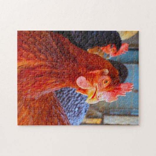Rhode Island Rooster. Legpuzzel (Horizontaal)