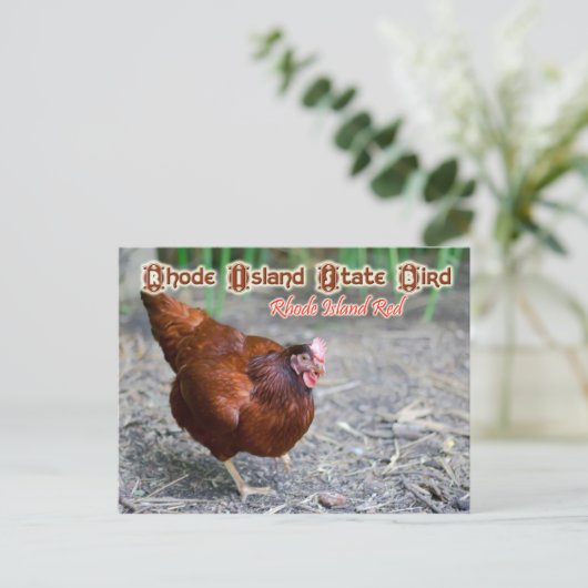 Rhode Island State Bird: Rhode Island Red Briefkaart (Staand voorkant)