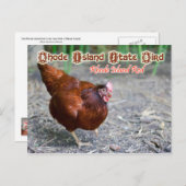 Rhode Island State Bird: Rhode Island Red Briefkaart (Voorkant / Achterkant)