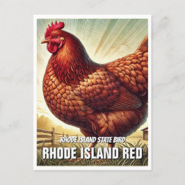 Rhode Island State Bird Rhode Island Rood Briefkaart