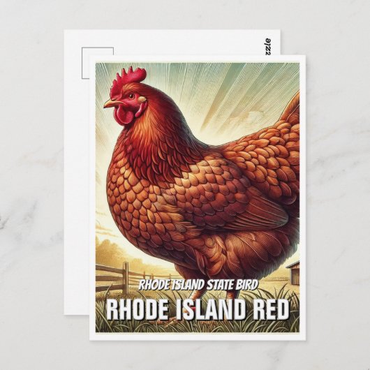 Rhode Island State Bird Rhode Island Rood Briefkaart (Voorkant / Achterkant)