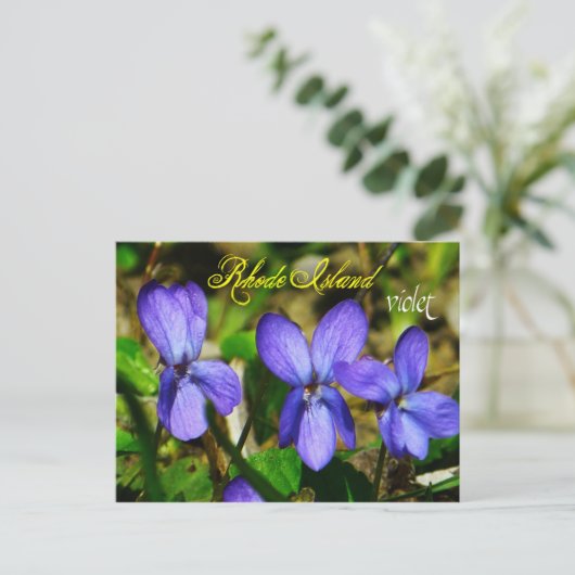 Rhode Island State Flower: Violet Briefkaart (Staand voorkant)