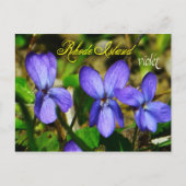 Rhode Island State Flower: Violet Briefkaart (Voorkant)