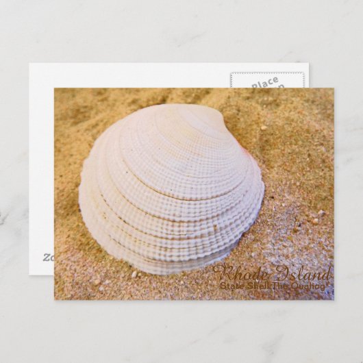 Rhode Island State shell Briefkaart (Voorkant / Achterkant)