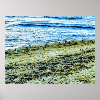 Rhode Island strand landschapsfoto Poster