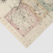 Rhode Island Tissuepapier (Detail)