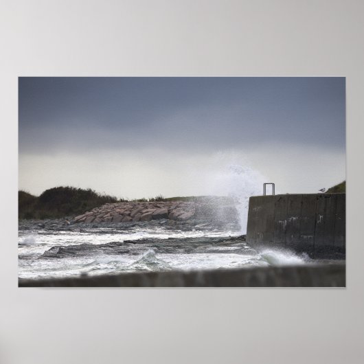 Rhode Island-waterschap-poster Poster (Voorkant)
