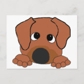 rhodesiaanse ridgebrood met bruine neus briefkaart (Voorkant)