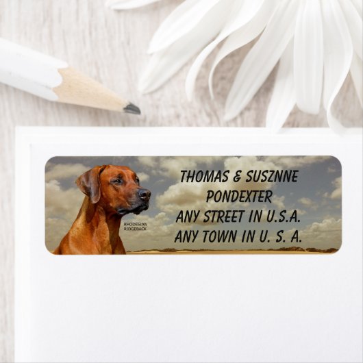 RHODESIAN RIDGBACK ETIKET (Insitu)